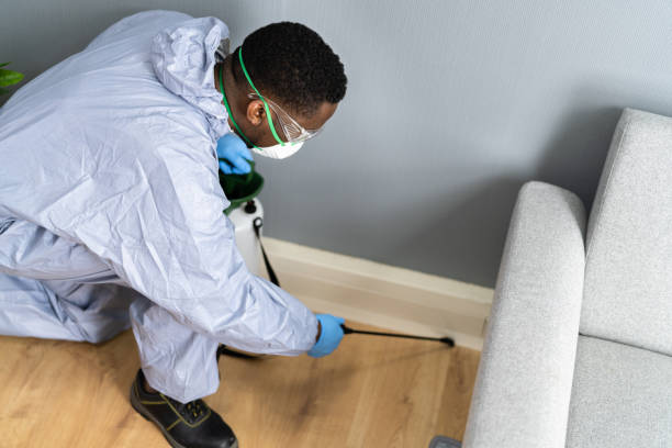 Best Real Estate Pest Inspections  in Alsip, IL